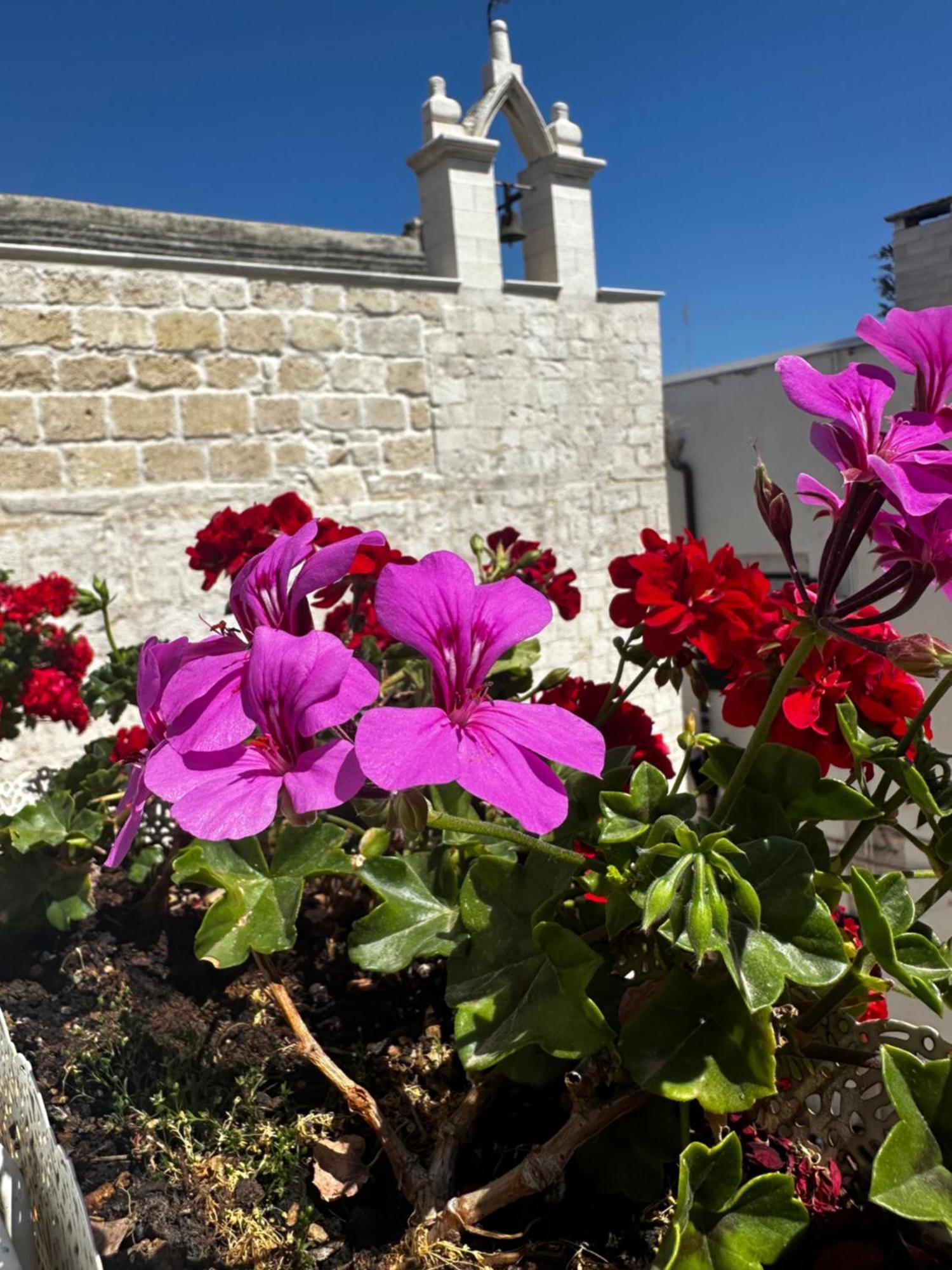 B&B Sigo Trani Exteriör bild